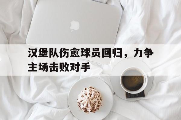 汉堡队伤愈球员回归，力争主场击败对手